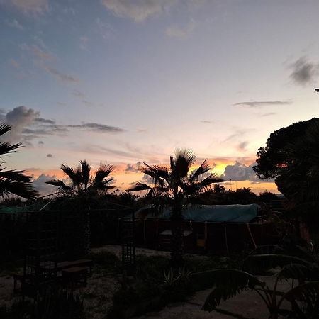 Turtle Island Apartments Santa Croce Camerina Ngoại thất bức ảnh