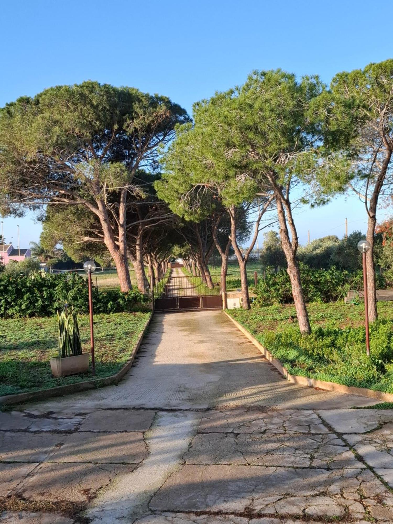 Turtle Island Apartments Santa Croce Camerina Ngoại thất bức ảnh